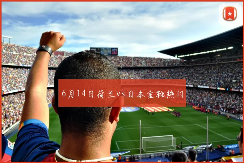 6月14日荷兰vs日本金靴热门