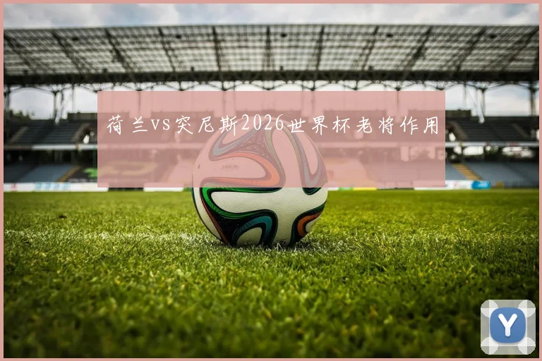 荷兰vs突尼斯2026世界杯老将作用