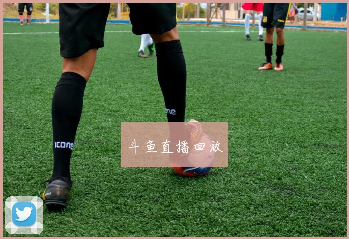 斗鱼直播回放