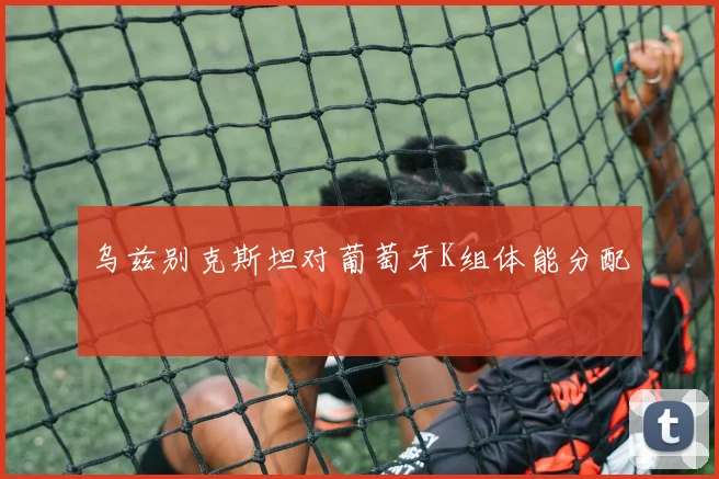 乌兹别克斯坦对葡萄牙K组体能分配