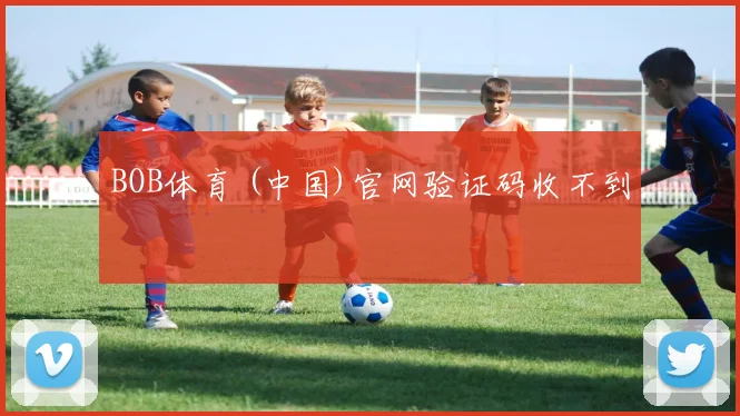 BOB体育 (中国)官网验证码收不到