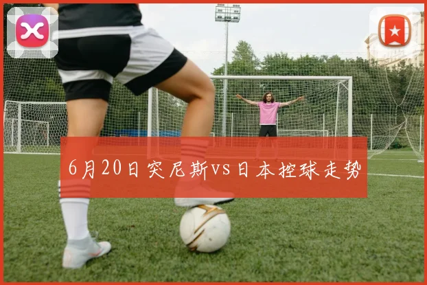 6月20日突尼斯vs日本控球走势