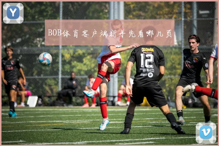 BOB体育客户端新手先看哪几页