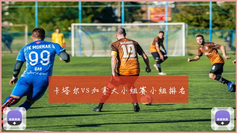 卡塔尔vs加拿大小组赛小组排名