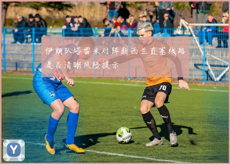 伊朗队塔雷米对阵新西兰直塞线路是否清晰风险提示